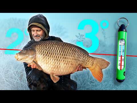 Carp fishing in cold water (Bruno Médou)
