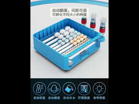 Повністю автоматичний інкубатор на 30 яєць. З живленням від мережі 220В і від АКБ 12В. З переворотом і овоскопом., видео 1