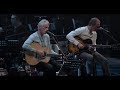 Paul Weller - Wild Wood (Live At The Royal Festival Hall)