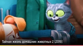 Тайная жизнь домашних животных 2 (2019) — русский трейлер Тайная жизнь домашних животных 2 (2019) — русский трейлер