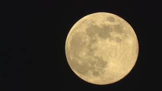 The Full Moon using Sony's DSC-HX300