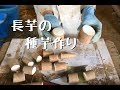 【長芋】種芋作り