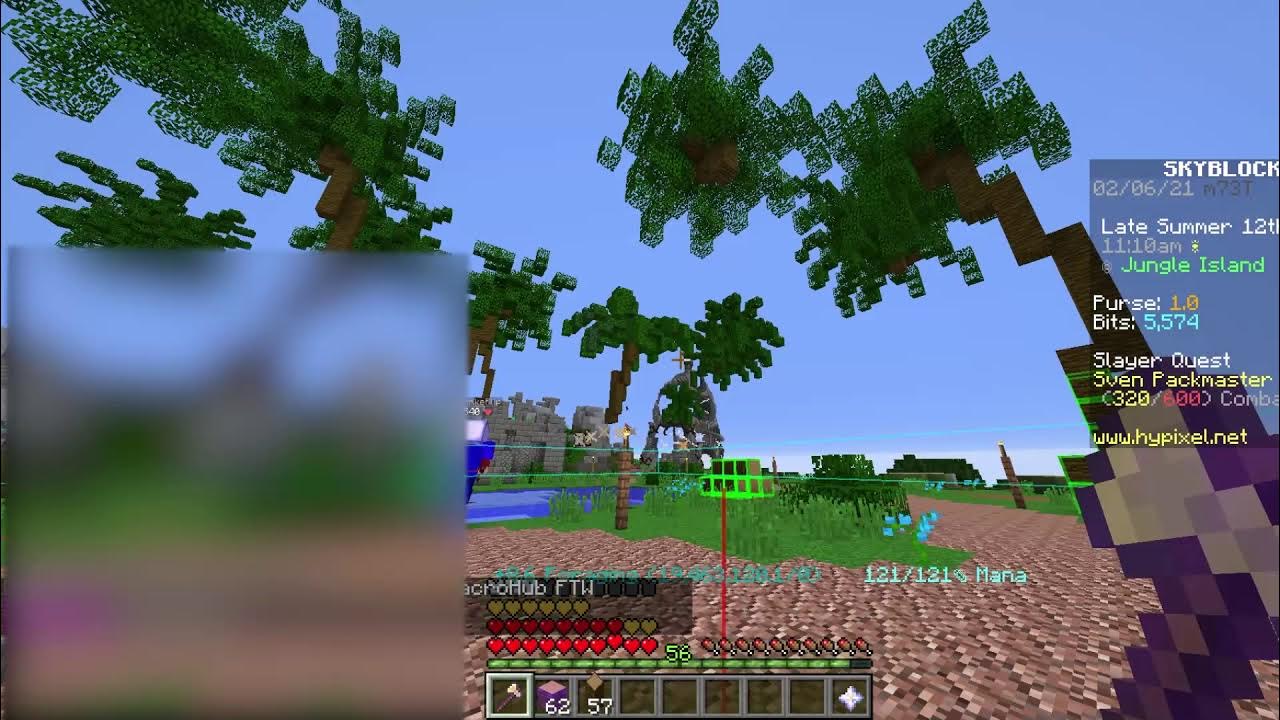 Foraging script/macro Hypixel Skyblock Jungle wood baritone YouTube