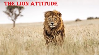 Lion Attitude Status  Lion Attitude