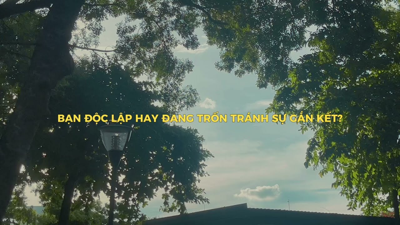 Bạn độc lập hay đang trốn tránh sự gắn kết?