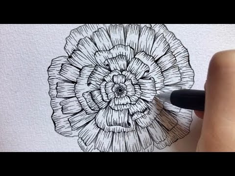 ボールペンアート 花の描き方 How To Draw A Flower Youtube