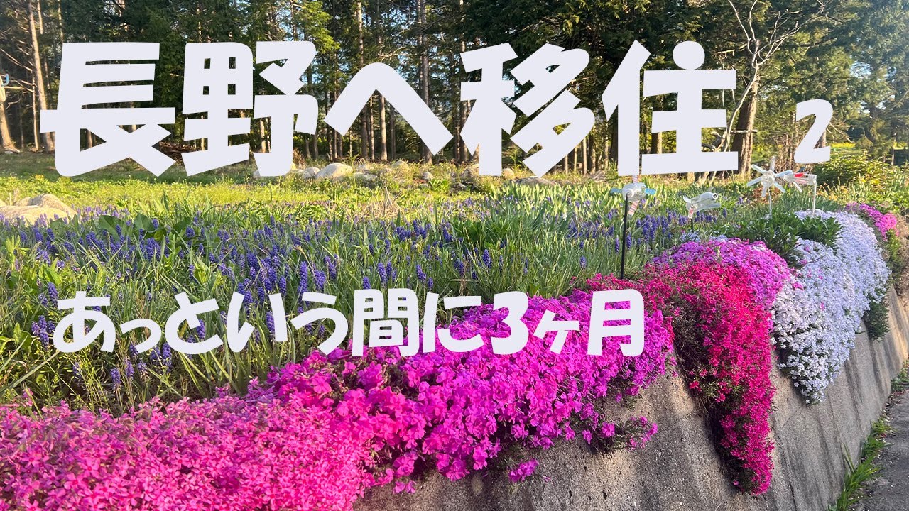 【長野へ移住】　あっという間に3ヶ月　＃移住　＃長野　＃田舎暮らし　＃リフォーム　＃山登り　＃家庭菜園