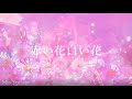 赤い花白い花 (山本潤子 他)covered by Mio(Live Ver.)