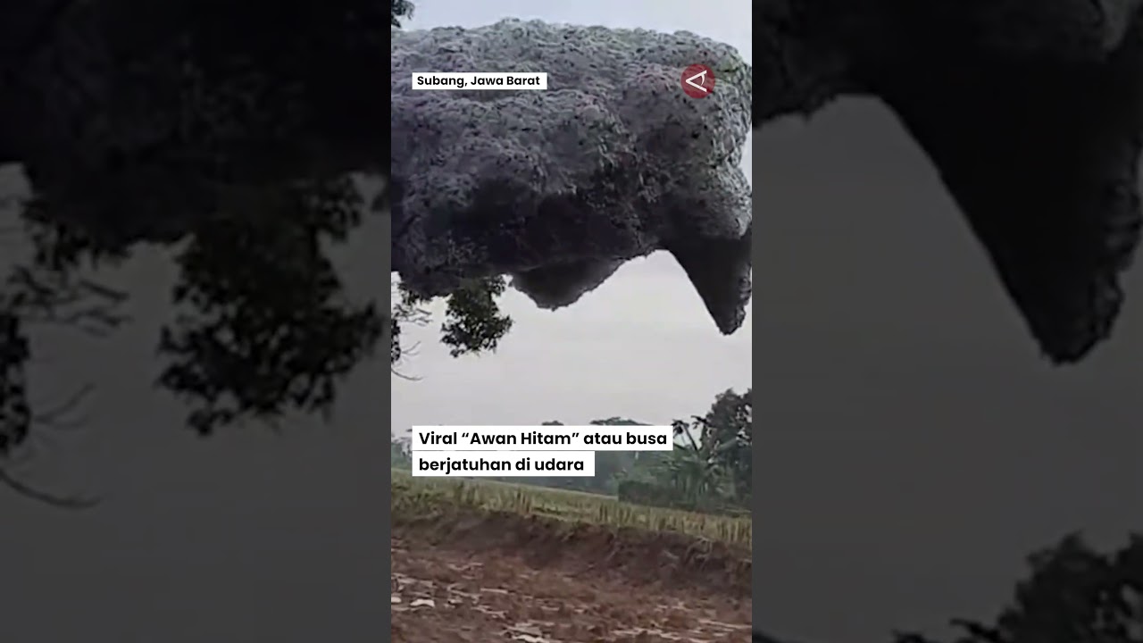 Viral 'Awan Hitam' berjatuhan di udara