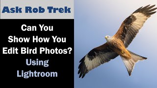 Viewer Requested: Edit my Bird Photo in Lightroom ep.446