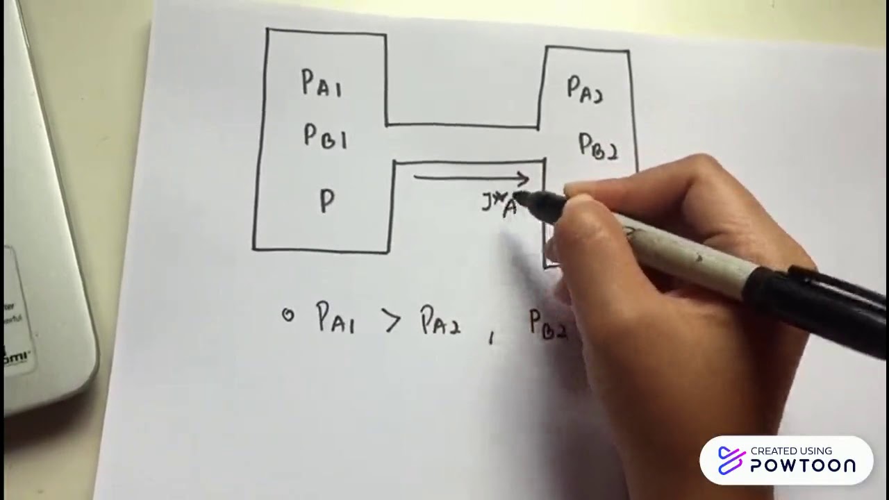 MOLECULAR DIFFUSION - YouTube