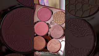 Tarte Cosmetics Precious Gems #preciousgems #tartecosmetics #blush #holiday2022