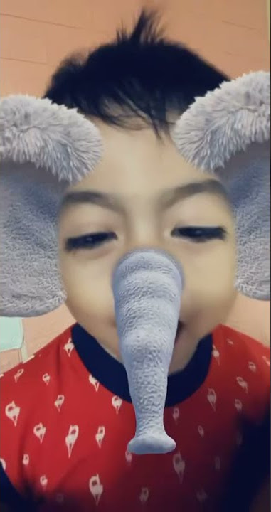 SUARA GAJAH