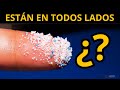 EL PELIGRO de los MICROPLÁSTICOS