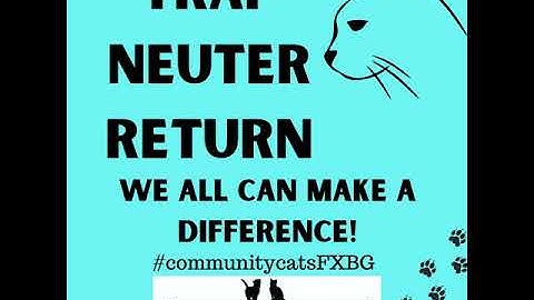 TNR - Release Together we are making a difference!