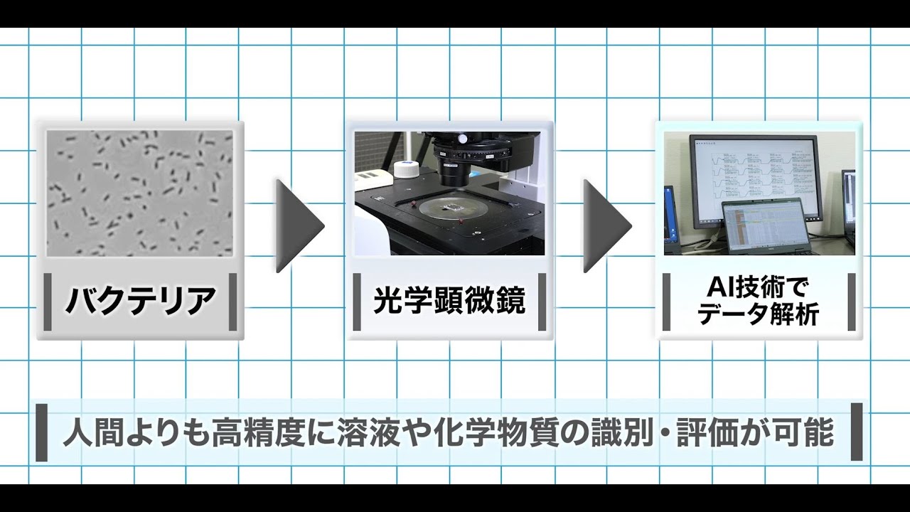 ケミカルバイオセンサー：「生物の優れた感覚」と「AI」の融合技術で