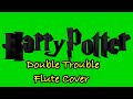 Double trouble flute coverjohn williams