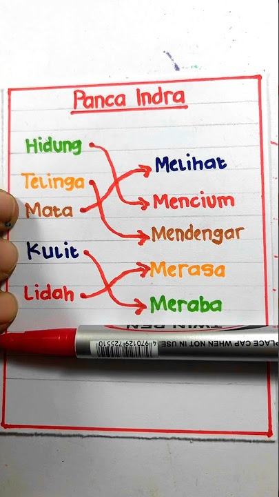 Five senses and their functions 😊 #art #shortvideo #shorts