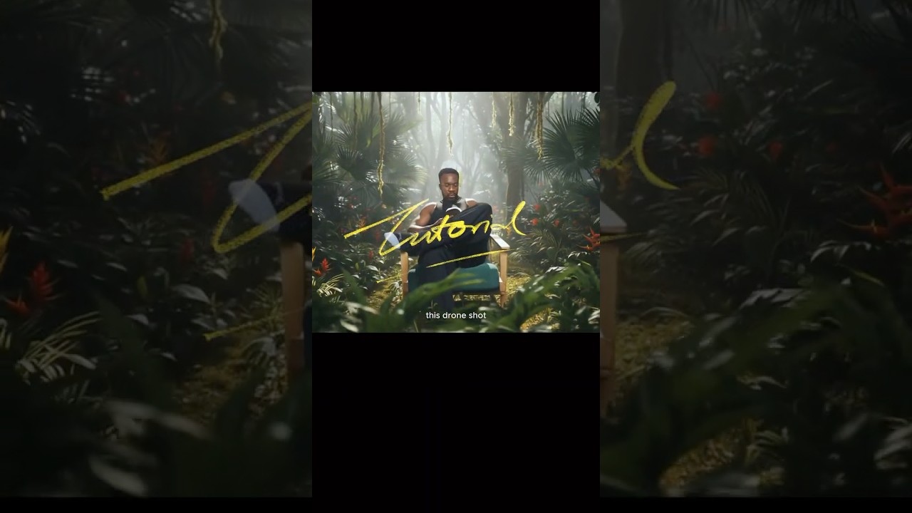 AI DRONE SHOT EFFECT TUTORIAL .