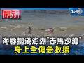 海豚擱淺澎湖「赤馬沙灘」 身上全傷急救援｜TVBS新聞 @TVBSNEWS01