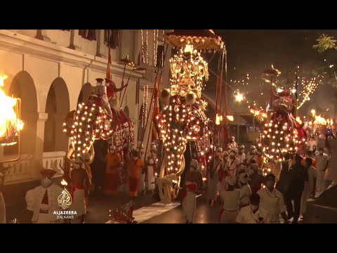 Video: Kako Se Održava Festival Svetog Zuba Na Šri Lanki