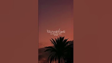 سورة القصص - الآية 56 | وَهُوَ أَعْلَمُ بِالْمُهْتَدِينَ | تلاوة هادئة ومؤثرة