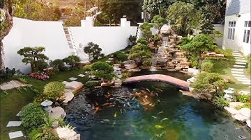 Hồ Cá Koi Đẹp. liên hệ thi công:  0982 51 99 33