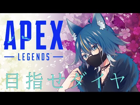 「Apex」エペランク