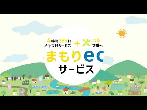 eco電力