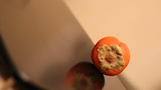 José Shares Persimmons Data: Healthy & Nutritious!