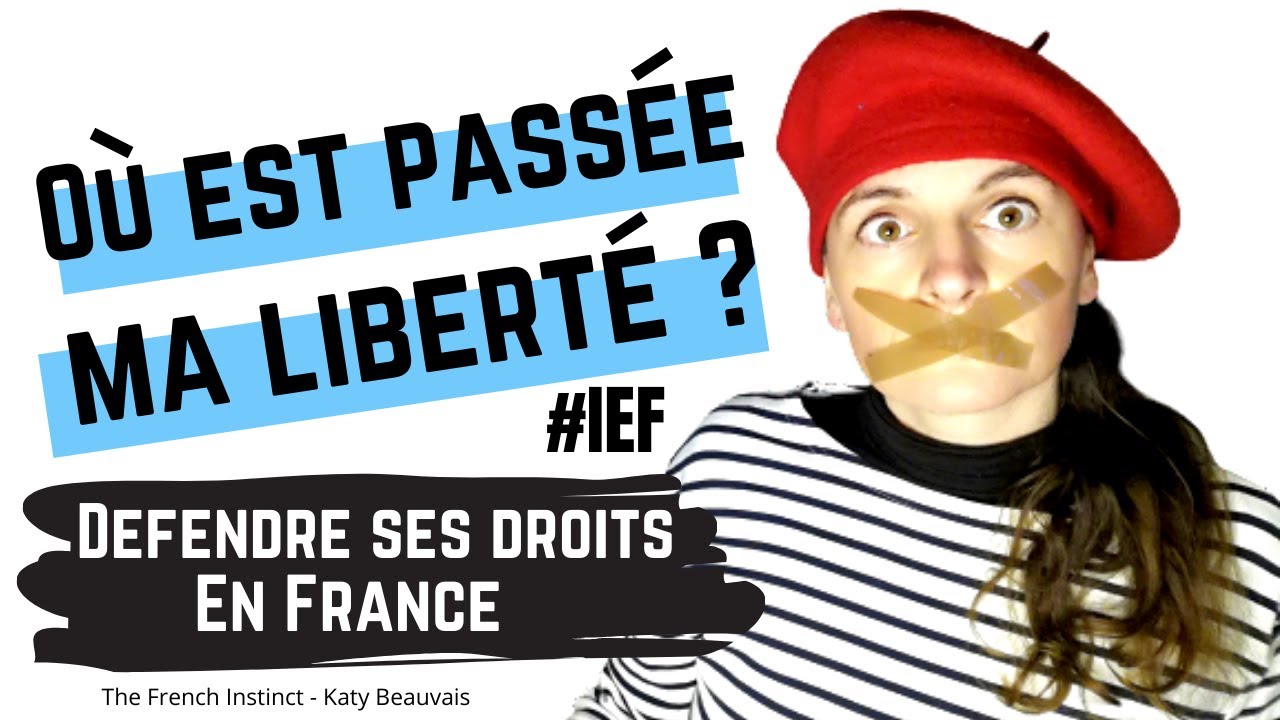 Qui fait la loi en France ? IEF - Français juridique - YouTube