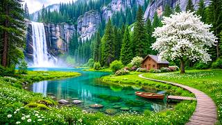 Gentle healing music for health and to calm the nervous system, deep relaxation #113 screenshot 4