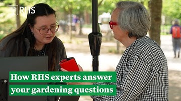 Behind the scenes – How RHS experts answer your gardening questions | The RHS