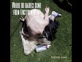 Where Do Babies Come From Melanie Martinez Full Instrumental Where Do Babies Come From Melanie Martinez Full Instrumental