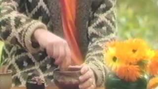 Alan Watts A Conversation With Myself-Part 3