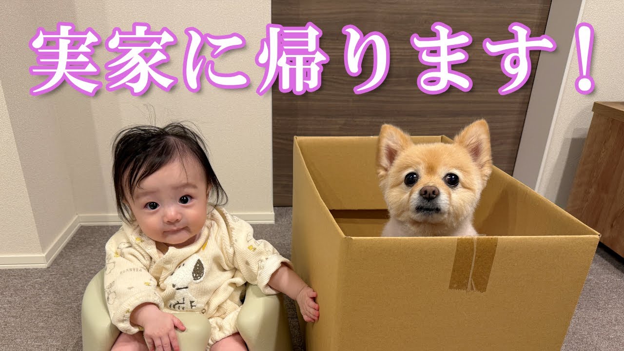 福島の実家に帰ります！