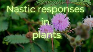 Nastic responses in plants
