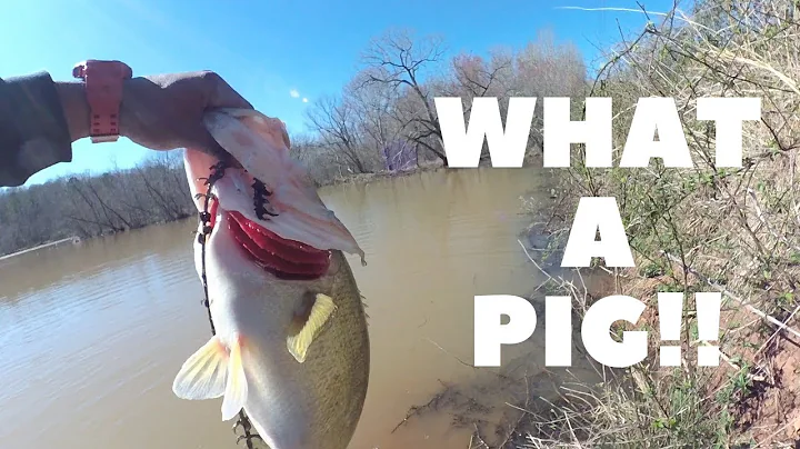 We caught a HUGE Bass out of a Muddy Water Reservoir!!