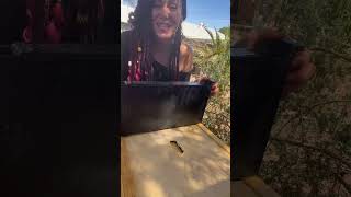 🐝 Queen Swarm Cells Discovered! Week 6 Hive Inspection 🐝