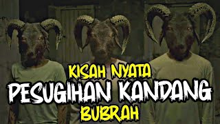 Demi Kekayaan Instan Satu Keluarga Menjadi Tumb4l Karena Pesugihan    Alur Cerita Film Horor