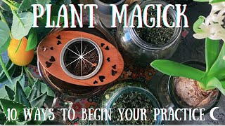 Plant Magick 101 | 10 Ways to Begin Your Green Witch Practice screenshot 5