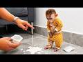 Smart Baby Monkey Gets Caught Stealing Dad’s Yogurt 😭🐒