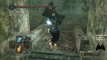 [DS2] Item & Enemy Randomizer Deathless (5) - Part 2