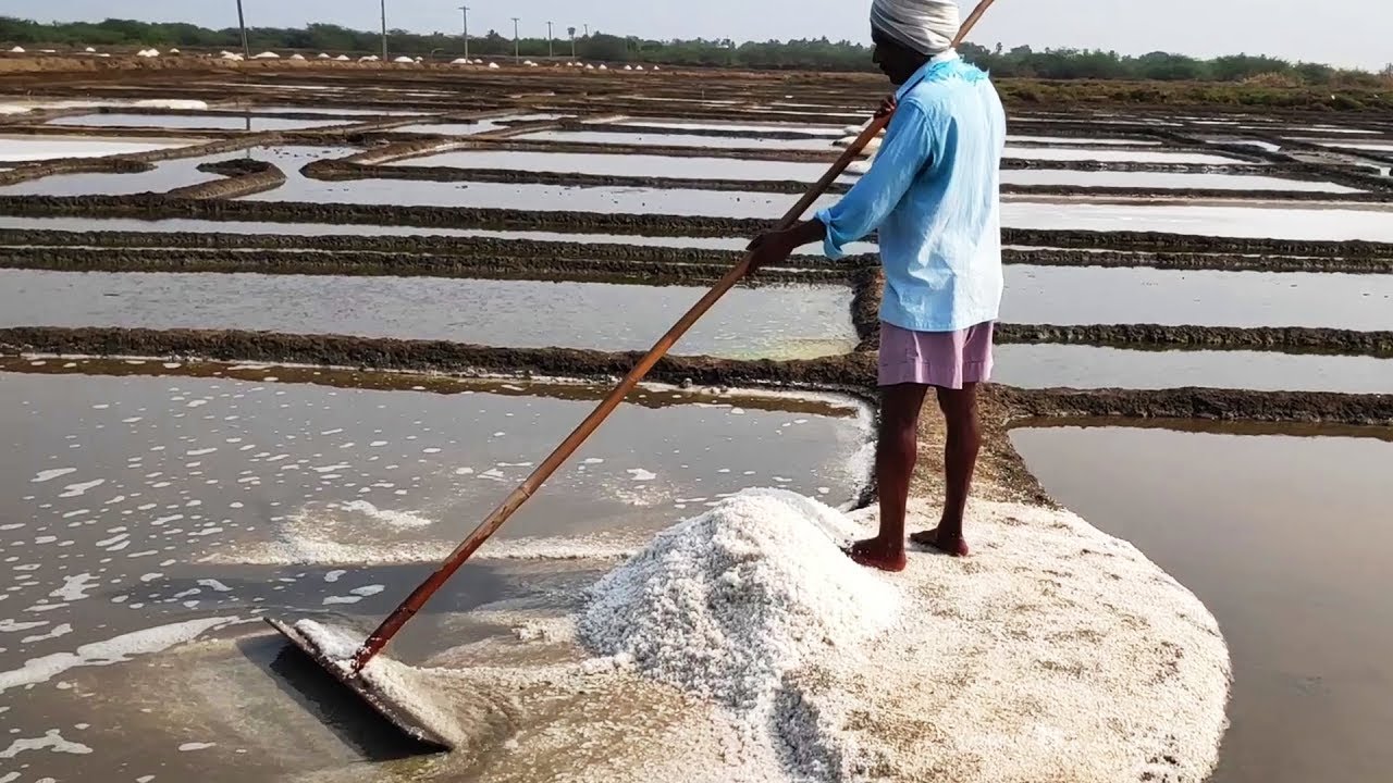 Crystal salt from sea water (NaCl) preparation  Nacl Mineral Making /  Village Survival Food