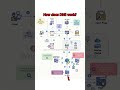 DNS Explained in 30 Seconds | #systemdesign #networking #backend #programming #coding