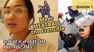 Vlog 13 - A day in my life & meet my Frenchie, Meatball! by Nicole Concepcion 36 views 5 months ago 21 minutes