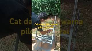 Cat Dasar Dan Cat Warna Pilox Samurai