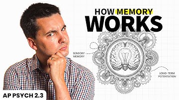 Introduction To Memory (AP Psychology Review Unit 2 Topic 3)