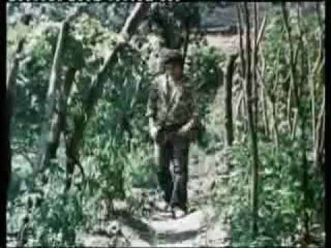 რა ყოფილა სიყვარული