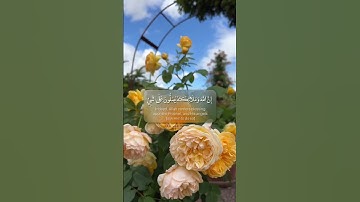 اللهم صل وسلم على النبي | قران كريم تلاوة خاشعة | جمعة طيبه